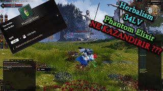 Rise Online Herbalism 34LV Phantom Elixir Ne Kazandırır ?  & Oyun KAPTANI #riseonline