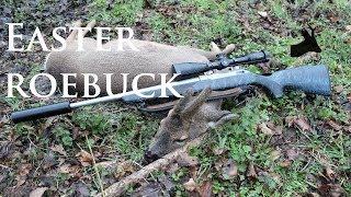 Roestalker: Easter roebuck. My first buck 2014 hunting season.