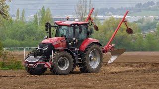 Sázení brambor 2024 [ 4x Case IH, Claas, New Holland, Grimme, Amazone & Palaz ]