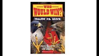 Who Would Win? -  Falcon vs Hawk