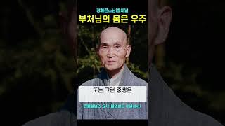 모든 부처님은 우주가 몸이며 중생의 마음과 생각 속에 들어 있습니다 #청화스님