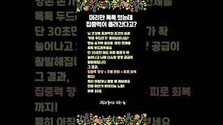 30초만 두드리면 뇌가 깨어난다? 집중력 올리는 초간단 건강팁 #건강정보 #두피자극 #집중력향상 #브레인헬스 #생활꿀팁 #두통예방 #쌩쌩라이프