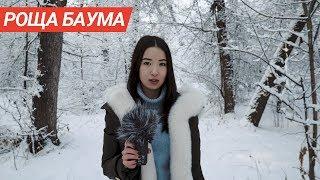 Обзор на Рощу Баума в Алматы | Парк насильников и убийц?