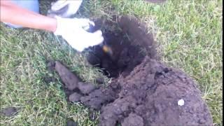 Huge Silver Day metal detecting with a Garrett AT Pro #20