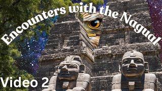 Encounters with the Nagual by Armando Torres 2004, The Path of the Warrior Video 2
