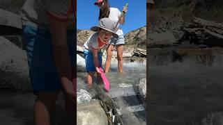 Family Gold Adventures at the creek #sluice #californiagold #sluicebox #digging