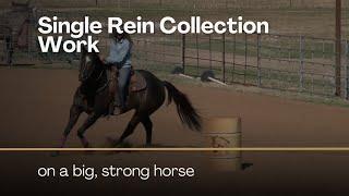 Single Rein Collection Work on a Big, Strong Barrel Horse with Ashley Schafer
