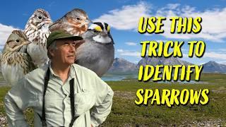 Identify sparrows by using THIS trick.