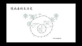 慢病毒表达系统的原理及初步应用 已完成 丁香学社 丁香通