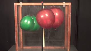 Balloon Buoyancy - What makes balloons float?