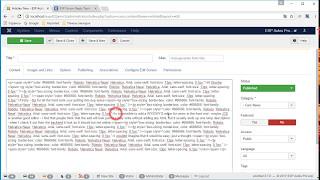 WYSIWYG editor tags problem