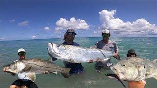 MULLET RUN MADNESS!!! Florida Mullet Run 2021 (tarpon, snook, jack)