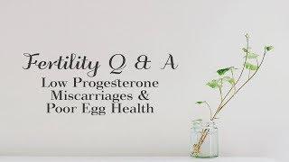 Fertility Q & A - Low Progesterone  Miscarriages & Poor Egg Health