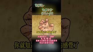 #中醫養生 #心靈暖流 #倪海厦 #中國醫 #感情 #药膳 #人生感悟 #身心靈氣功 #情感