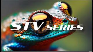 Introducing the STV Series