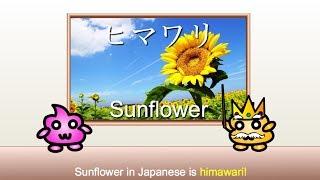 Learn Japanese Vocabulary - Flowers in Japanese 花 HANA