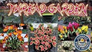 Thread Garden ( Part - 1 ) | First Ever Thread Garden in the World | Guinness World Record's !!!