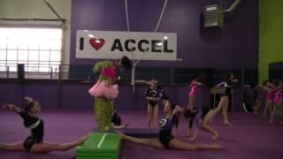 Harlem Shake Accel Gymnastics Style!