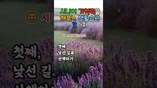 시니어 기억력을 되살리는 두뇌 운동 3가지 !  #기억력향상 #시니어건강 #생활속뇌운동 #노래와기억 #산책효과 #손글씨의힘 #시니어교양