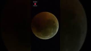 #затмение #луна #moon #iss #space #космос #мкс #shorts