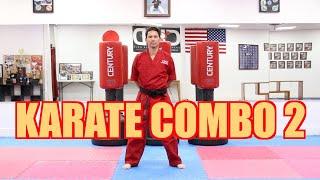 KARATE for Beginners - Lesson 7 / Karate combo #2