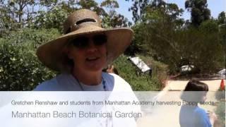 Manhattan Beach Botanical Garden