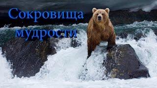Сокровища мудрости