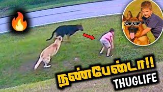 நண்பேன்டா Thuglife  German shepherd Thuglife | Boy Thuglife #thuglife #nanbenda