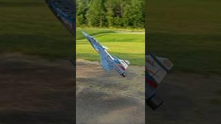 JAS-39 Gripen High Alpha Pass #aviation #rc #rcplane
