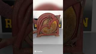 100-Year-Old Bread Guillotine Restored 🩸 #shorts #trending #usa