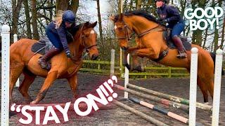 DID I FALL OFF? | A Week of Firsts: Oxer, Hacking & Galloping | Training my Young Horse - TEACHmas