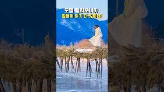 영월 여행 가볼만한곳