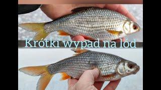 Krótki wypad na lód