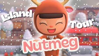 I Finished Nutmeg | Winter Christmas Cottagecore Island Tour | ACNH Animal Crossing New Horizons