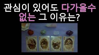 [타로/tarot] 관심이 있어도 다가올수 없는 그 이유는?