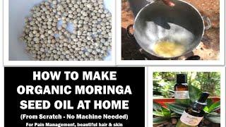 How to Extract Moringa Seed Oil at Home #moringaseedoil