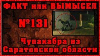 Чупакабра из Саратовской области