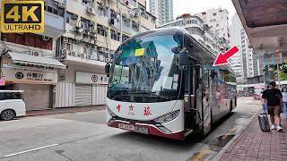 Mit dem Direktbus von Costco Shenzhen nach Hongkong fahren