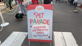  Pet Parade 2024 at Gaslamp Quarter, San Diego, California