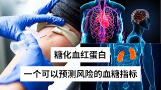 Ep 27 糖化血红蛋白 一个可以预测风险的血糖指标 ｜HbA1C ｜慢性疾病｜糖尿病 ｜血糖检验 ｜心脑血管疾病 ｜高血压 ｜