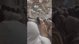 New video Saudi Arabhttps://youtu.be/UZ76PeZMUcU?si=L20BYpVCLihtyh05