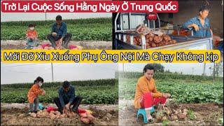 #653 Ba Chồng Con Dâu Việt Làm Gì Với Đống Khoai Này.Từ Từ Ba Tìm Cách.Đở Đở Là Chạy Xuống Phụ Liền