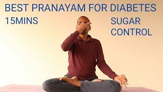 15 MINS PRANAYAM FOR DIABETES | SUGAR | SWAMI VIVEKANANDA YOGA |