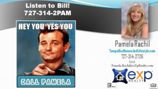 #1 Sales Agent Palm Harbor Florida