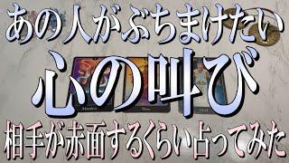 見逃し厳禁見ないと損あの人が今ぶちまけたい心の叫びとは？相手が恥ずかしくなるくらい占ってみた！