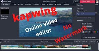 Online Video Editing Website Free No Watermark | kapwing