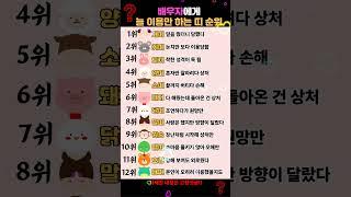 배우자에게 늘 이용만 당하는 띠 순위 TOP12