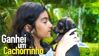 Ganhei um cachorrinho  Primeiro Banho - Yasmin Verissimo