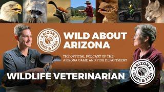 Wildlife Veterinarian PODCAST