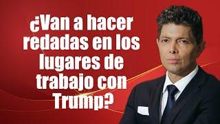 ¿Van a hacer redadas en los lugares de trabajo con Trump?